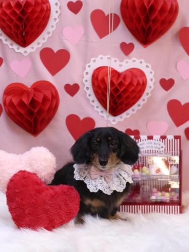 20240201モカちゃん